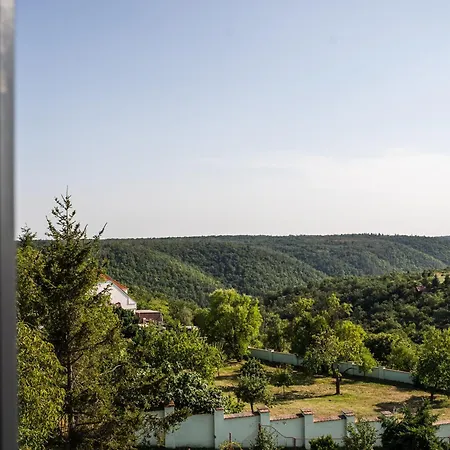 Panorama 게스트하우스
